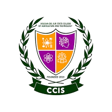 CCIS logo